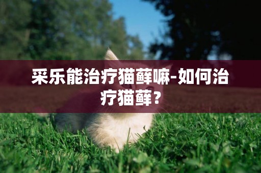 采樂能治療貓蘚嘛-如何治療貓蘚？