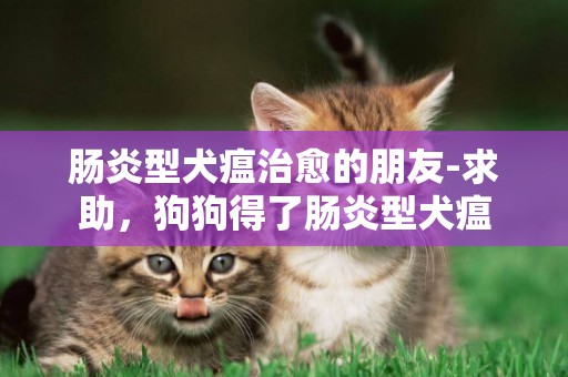 腸炎型犬瘟治愈的朋友-求助，狗狗得了腸炎型犬瘟