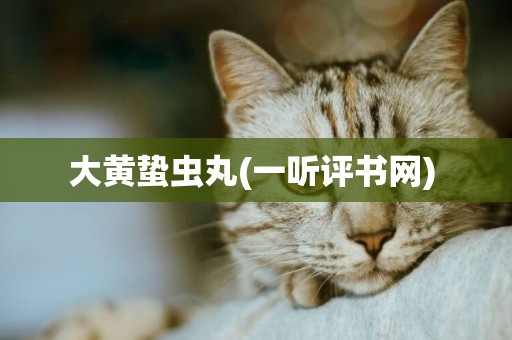 大黃蟄蟲丸(一聽評書網) 