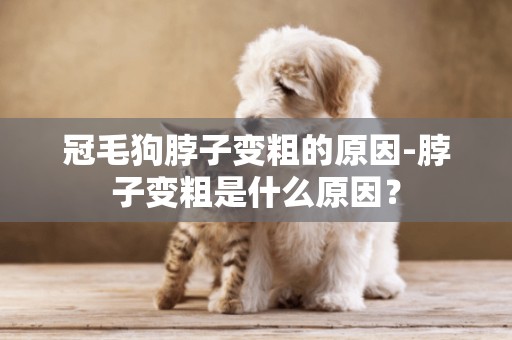 冠毛狗脖子變粗的原因-脖子變粗是什么原因？