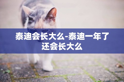 泰迪會長大么-泰迪一年了還會長大么
