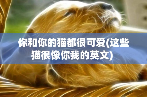 你和你的貓都很可愛(這些貓很像你我的英文) 