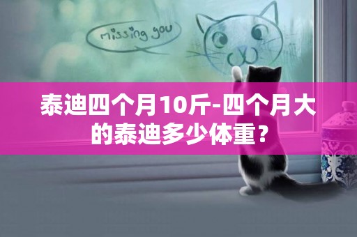 泰迪四個月10斤-四個月大的泰迪多少體重？