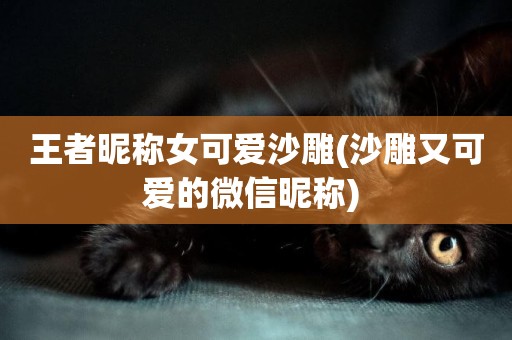 王者昵稱女可愛沙雕(沙雕又可愛的微信昵稱) 