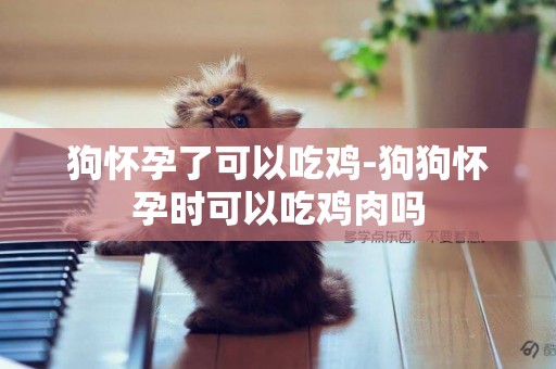 狗懷孕了可以吃雞-狗狗懷孕時可以吃雞肉嗎