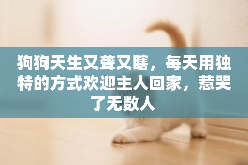 狗狗天生又聾又瞎，每天用獨特的方式歡迎主人回家，惹哭了無數人 