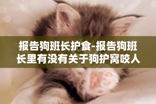 報告狗班長護食-報告狗班長里有沒有關于狗護窩咬人的，哪一集，謝謝！
