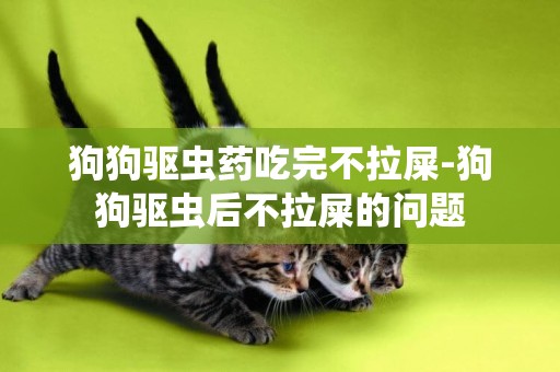 狗狗驅蟲藥吃完不拉屎-狗狗驅蟲后不拉屎的問題