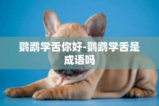 鸚鵡學舌你好-鸚鵡學舌是成語嗎