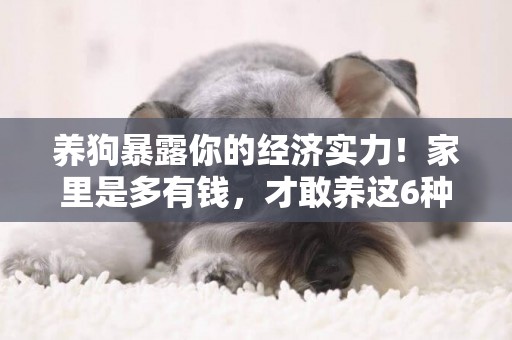 養狗暴露你的經濟實力！家里是多有錢，才敢養這6種狗 