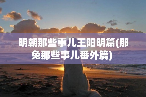明朝那些事兒王陽明篇(那兔那些事兒番外篇) 