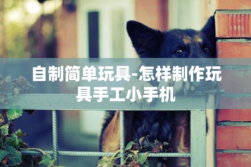 自制簡單玩具-怎樣制作玩具手工小手機