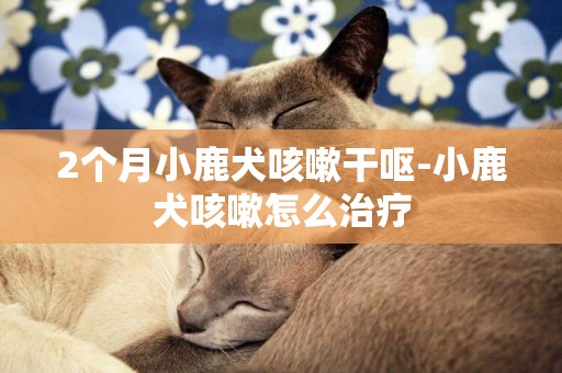 2個月小鹿犬咳嗽干嘔-小鹿犬咳嗽怎么治療