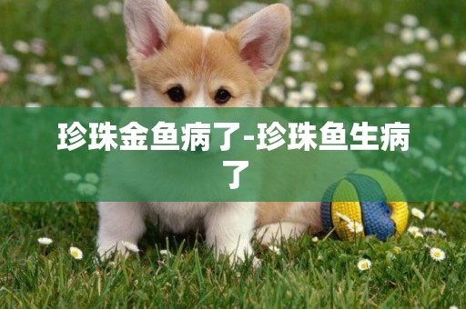 珍珠金魚病了-珍珠魚生病了