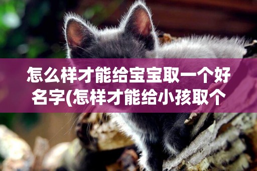 怎么樣才能給寶寶取一個好名字(怎樣才能給小孩取個好聽的名字啊?) 