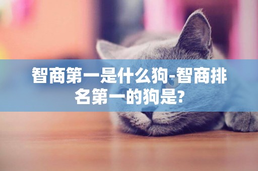 智商第一是什么狗-智商排名第一的狗是?
