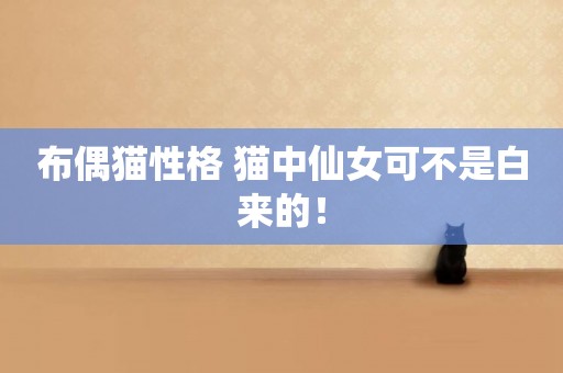 布偶貓性格 貓中仙女可不是白來的！