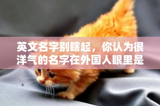 英文名字別瞎起，你認為很洋氣的名字在外國人眼里是笑話，太土了 