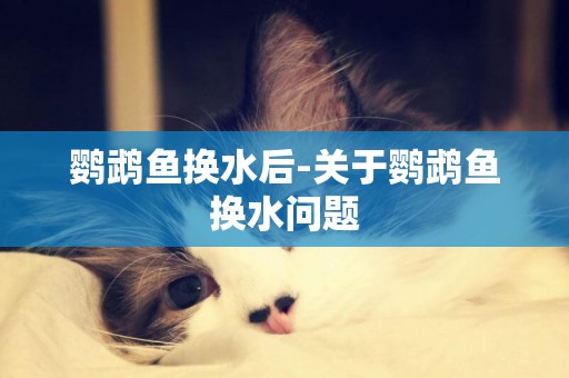 鸚鵡魚換水后-關于鸚鵡魚換水問題
