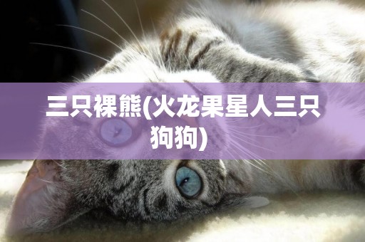 三只裸熊(火龍果星人三只狗狗) 