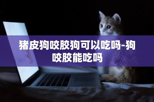 豬皮狗咬膠狗可以吃嗎-狗咬膠能吃嗎