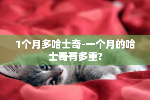 1個月多哈士奇-一個月的哈士奇有多重?