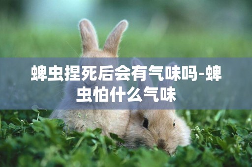 蜱蟲捏死后會有氣味嗎-蜱蟲怕什么氣味