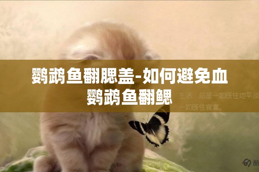 鸚鵡魚翻腮蓋-如何避免血鸚鵡魚翻鰓