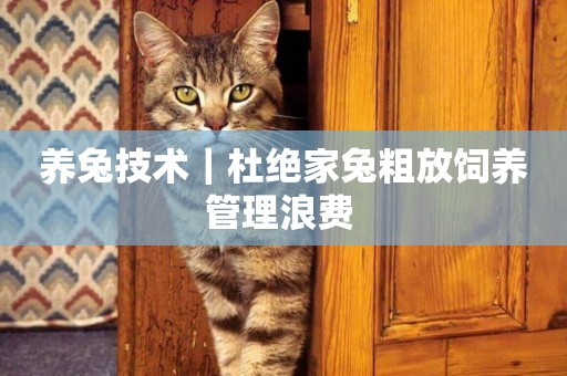 養兔技術｜杜絕家兔粗放飼養管理浪費 