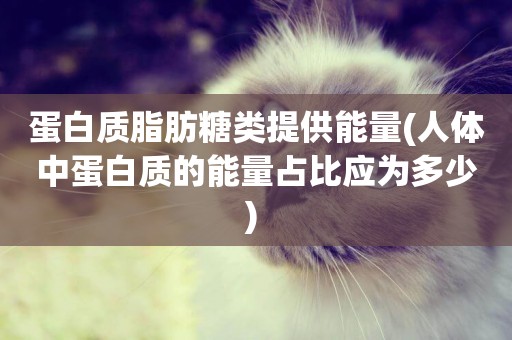 蛋白質脂肪糖類提供能量(人體中蛋白質的能量占比應為多少) 