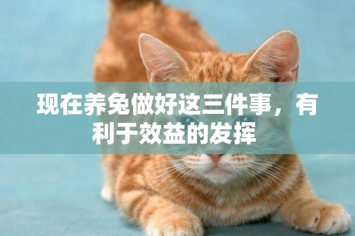 現在養兔做好這三件事，有利于效益的發揮 