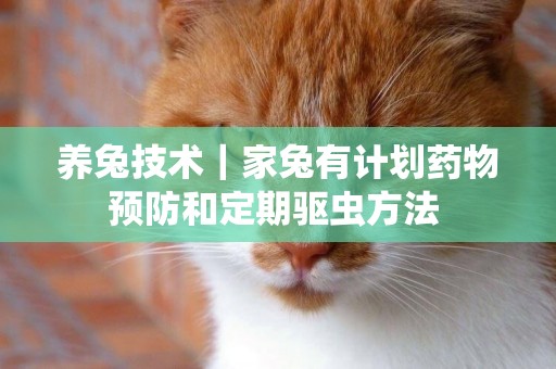 養兔技術｜家兔有計劃藥物預防和定期驅蟲方法 