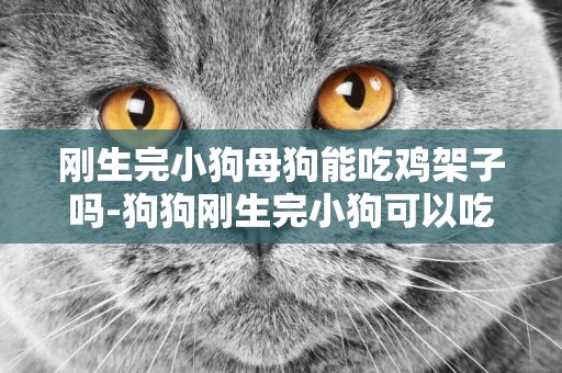 剛生完小狗母狗能吃雞架子嗎-狗狗剛生完小狗可以吃雞肉嗎