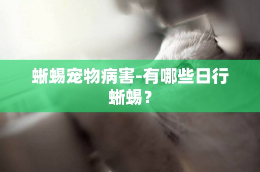 蜥蜴寵物病害-有哪些日行蜥蜴？