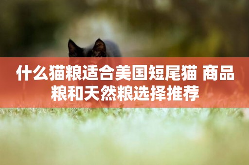 什么貓糧適合美國短尾貓 商品糧和天然糧選擇推薦