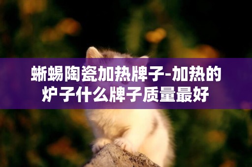 蜥蜴陶瓷加熱牌子-加熱的爐子什么牌子質量最好