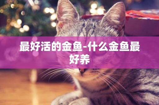 最好活的金魚-什么金魚最好養