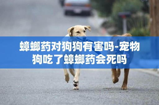 蟑螂藥對狗狗有害嗎-寵物狗吃了蟑螂藥會死嗎
