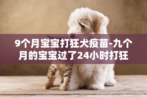 9個月寶寶打狂犬疫苗-九個月的寶寶過了24小時打狂犬疫苗有效嗎