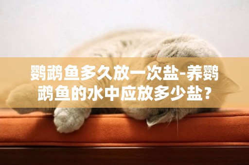 鸚鵡魚多久放一次鹽-養鸚鵡魚的水中應放多少鹽？