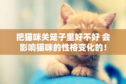 把貓咪關籠子里好不好 會影響貓咪的性格變化的! 把貓咪關籠子里好不好 會影響貓咪的性格變化的!