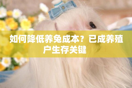 如何降低養兔成本？已成養殖戶生存關鍵 