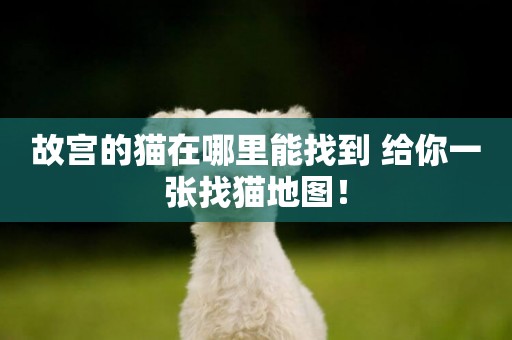 故宮的貓在哪里能找到 給你一張找貓地圖！
