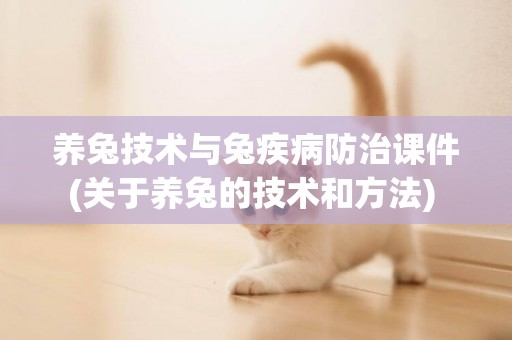 養兔技術與兔疾病防治課件(關于養兔的技術和方法) 