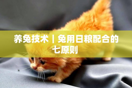 養兔技術｜兔用日糧配合的七原則 