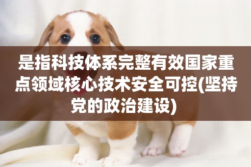 是指科技體系完整有效國家重點領域核心技術安全可控(堅持黨的政治建設) 