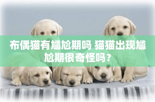 布偶貓有尷尬期嗎 貓貓出現尷尬期很奇怪嗎？
