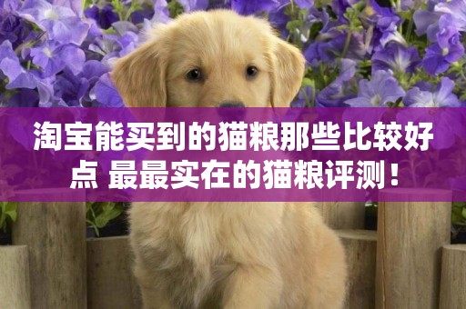 淘寶能買到的貓糧那些比較好點 最最實在的貓糧評測！