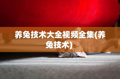養兔技術大全視頻全集(養兔技術) 