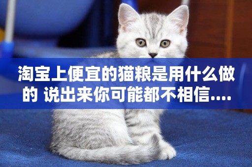 淘寶上便宜的貓糧是用什么做的 說出來你可能都不相信....